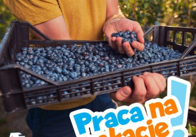 praca na wakacje